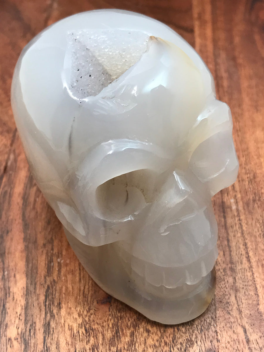 Druzy Agate Geode Crystal Skull w/Dragon Veins XL 460g