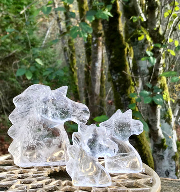 Clear Quartz Crystal Unicorns, Assorted