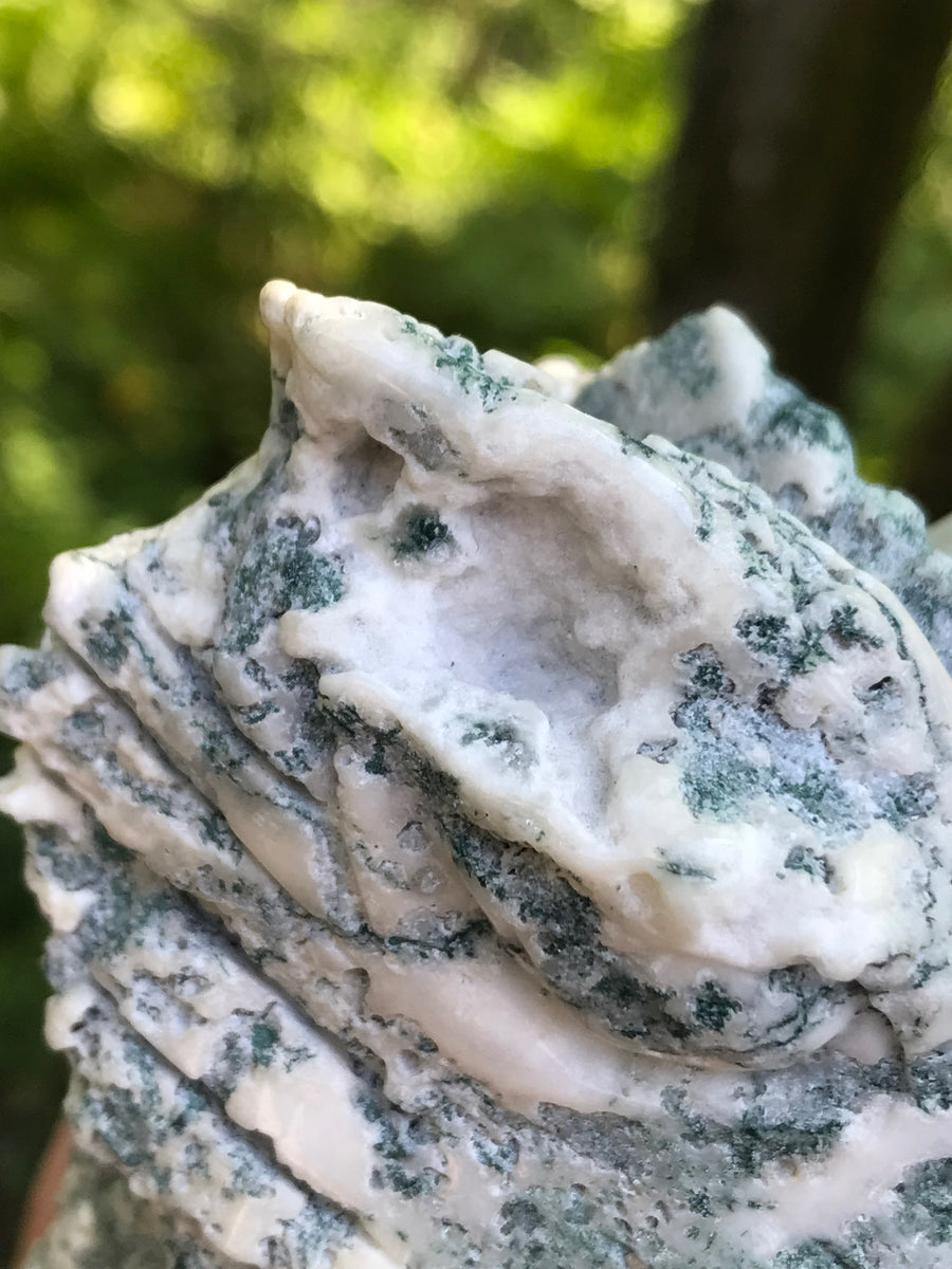 Large Dragon Carving 4.5