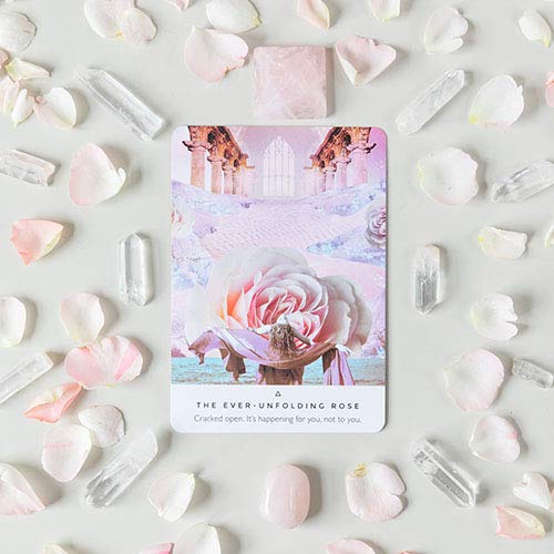 Work Your Light by Rebecca Campbell, Authentic Oracle Cards